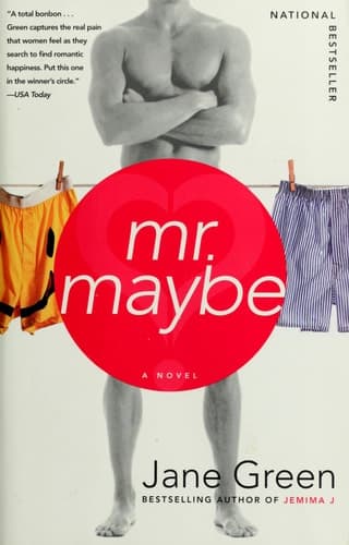 Mr. Maybe A Novel