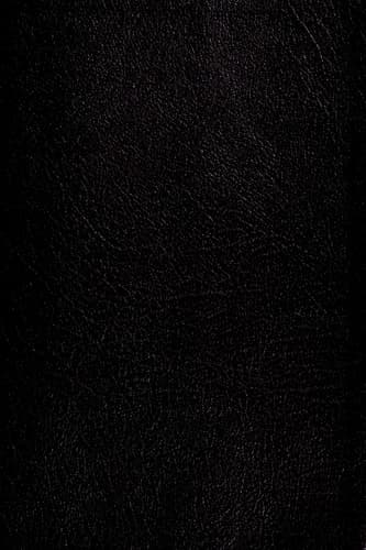 NIV Life Application Study Bible