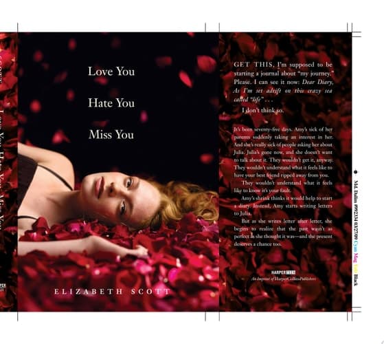 Love You Hate You Miss You