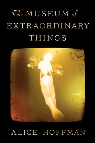 The Museum of Extraordinary Things A Novel