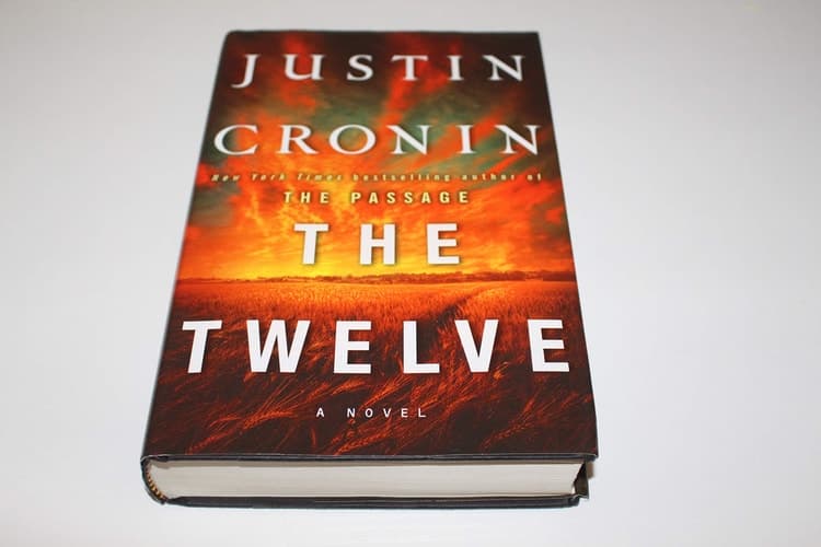 The Twelve A Novel