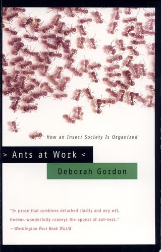Ants at Work How an Insect Society is Organized