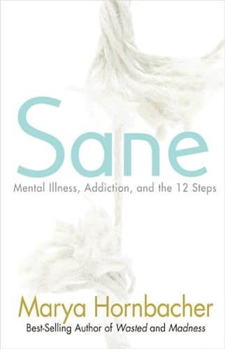 Sane Mental Illness, Addiction, and the Twelve Steps