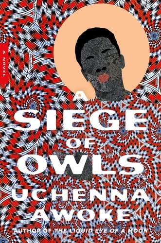A Siege of Owls - A Novel
