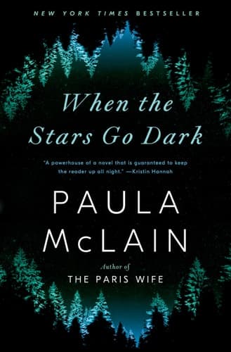 When the Stars Go Dark A Novel