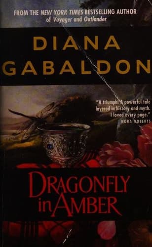 Dragonfly in Amber
