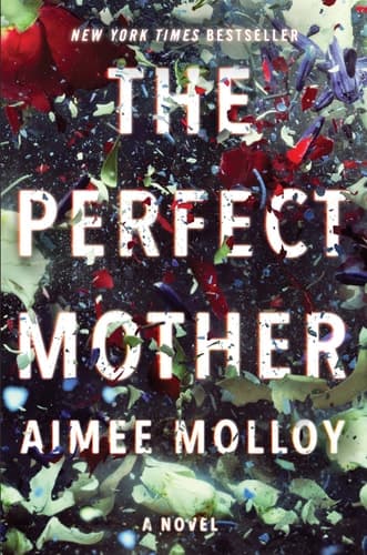 The Perfect Mother A Novel