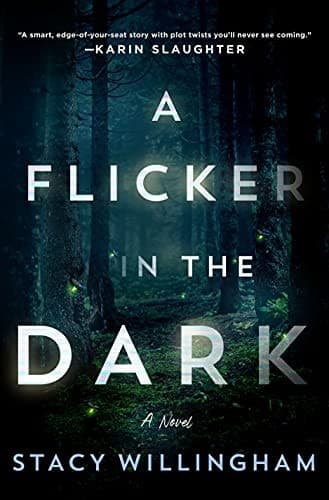 A Flicker in the Dark A Novel
